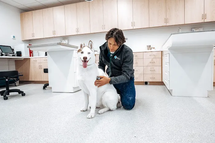 Berkeley Animal Hospital Picture 6