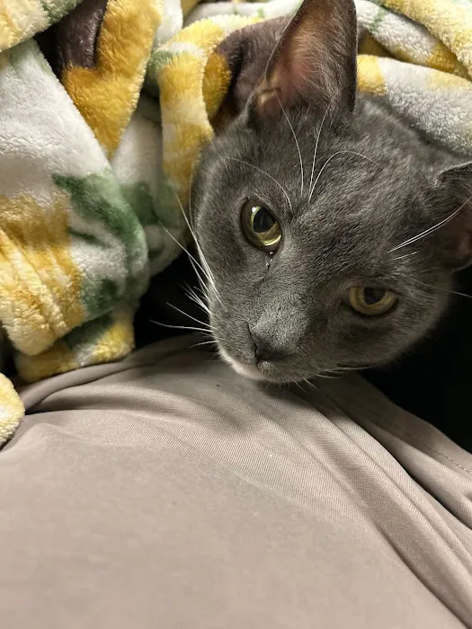 Berkeley Animal Hospital Picture 8