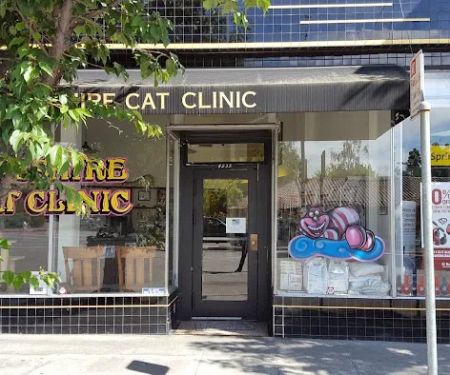 The Cheshire Cat Clinic