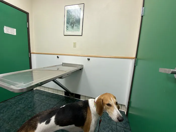 St Louis Veterinary Clinic Picture 1