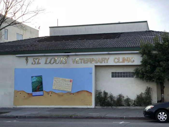 St Louis Veterinary Clinic Picture 3