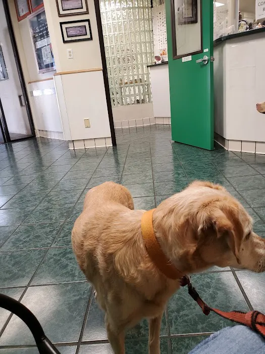 St Louis Veterinary Clinic Picture 2