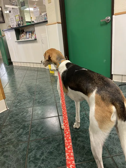 St Louis Veterinary Clinic Picture 7