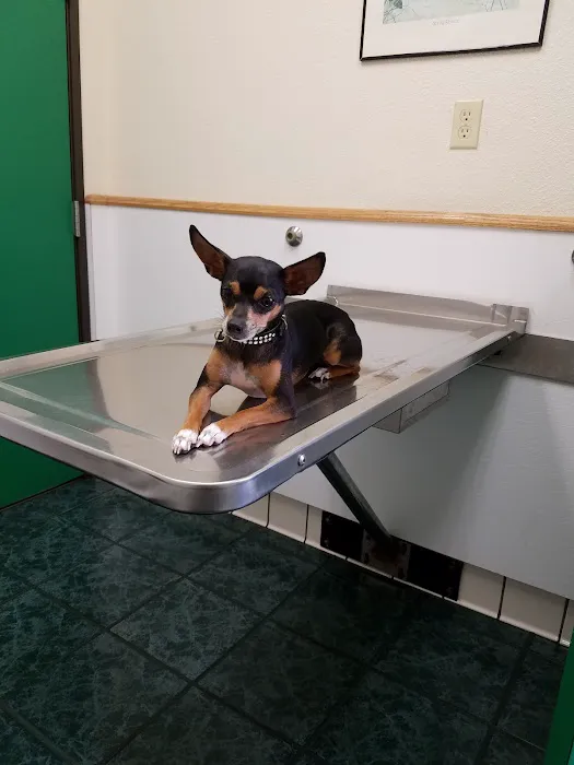 St Louis Veterinary Clinic Picture 9