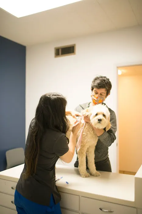 Claremont Veterinary Hospital Picture 3