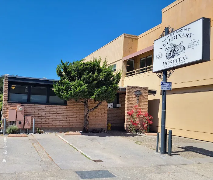 Claremont Veterinary Hospital Picture 1