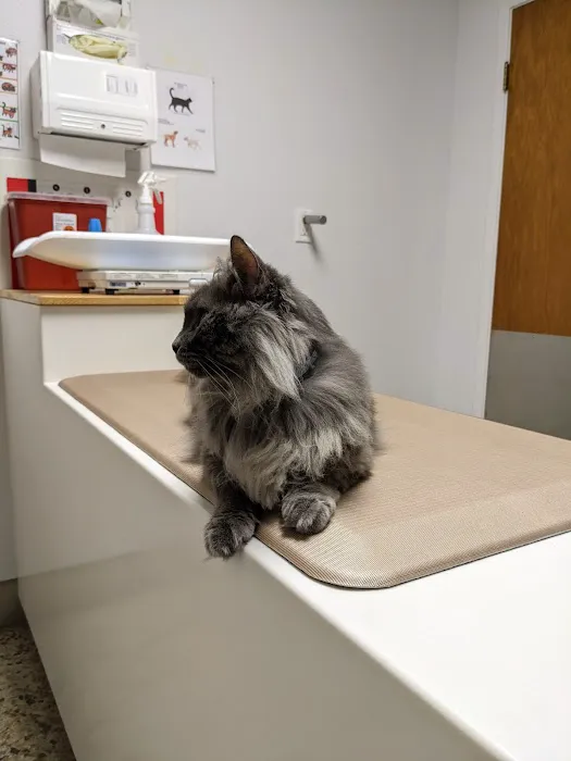 Claremont Veterinary Hospital Picture 6