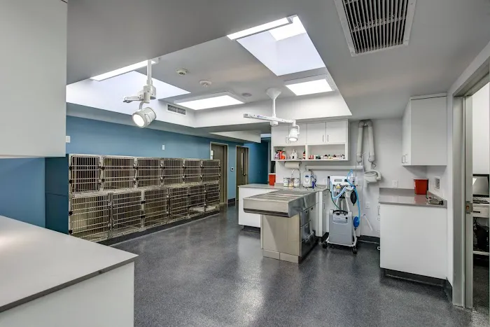 Providence Veterinary Hospital Picture 1