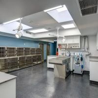 Providence Veterinary Hospital ico
