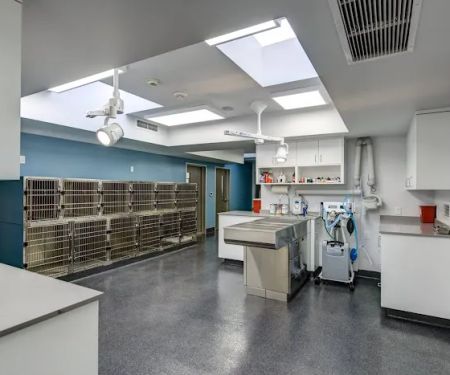 Providence Veterinary Hospital