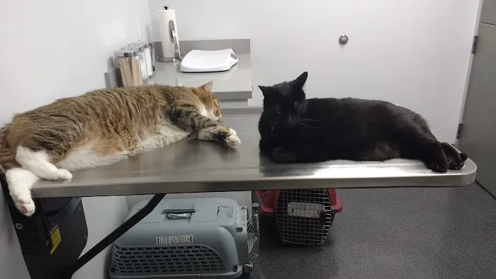 Providence Veterinary Hospital Picture 5