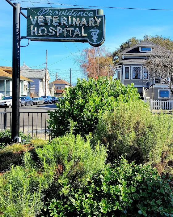 Providence Veterinary Hospital Picture 8