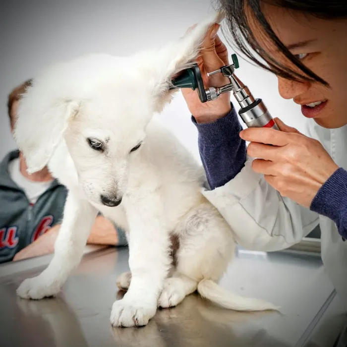 Providence Veterinary Hospital Picture 10