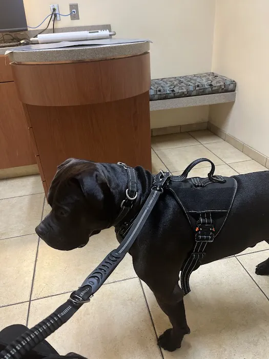 Park Centre Animal Hospital Picture 5