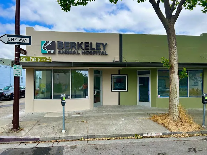 Berkeley Animal Hospital Picture 2