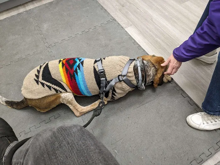 Berkeley Animal Hospital Picture 5