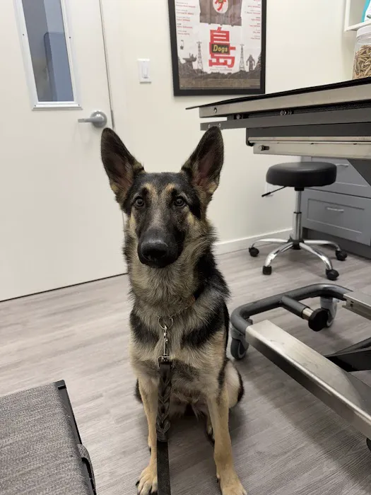 Berkeley Animal Hospital Picture 7