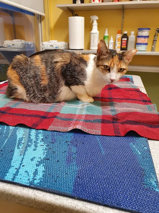 Chenoweth Animal Hospital Picture 1
