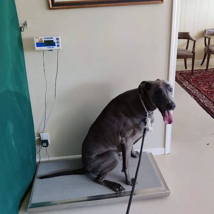 Chenoweth Animal Hospital Picture 2