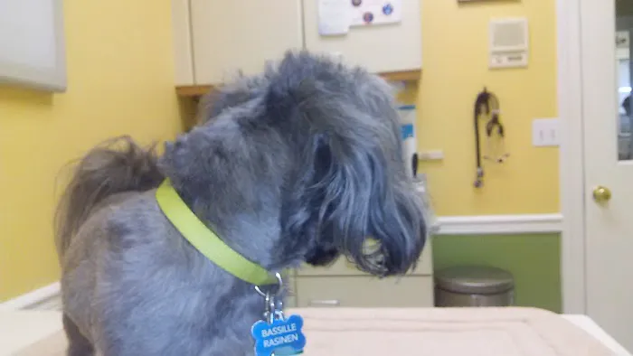 Chenoweth Animal Hospital Picture 6