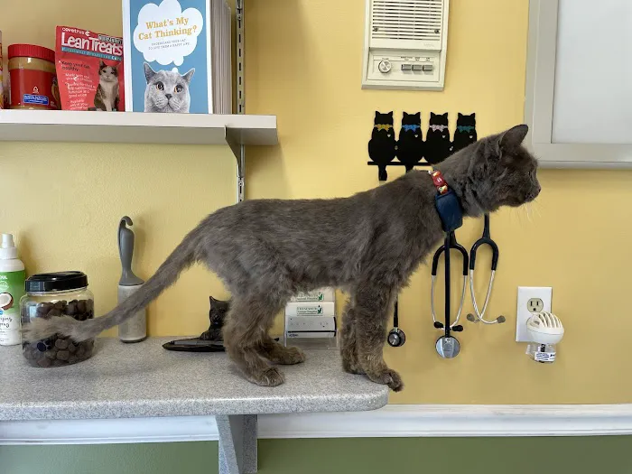 Chenoweth Animal Hospital Picture 3