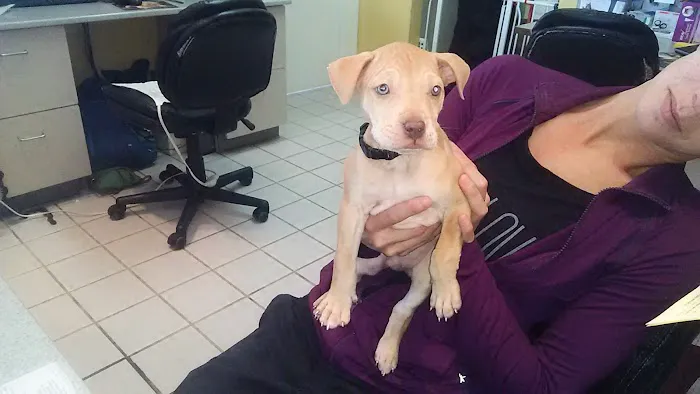 Chenoweth Animal Hospital Picture 10