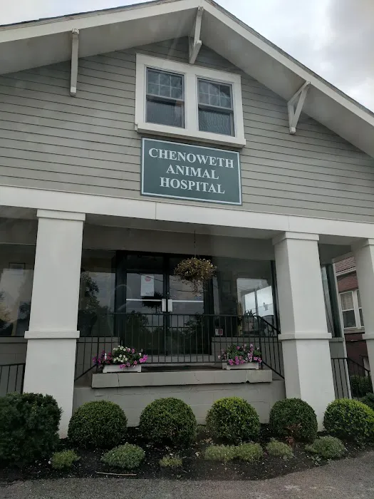 Chenoweth Animal Hospital Picture 8