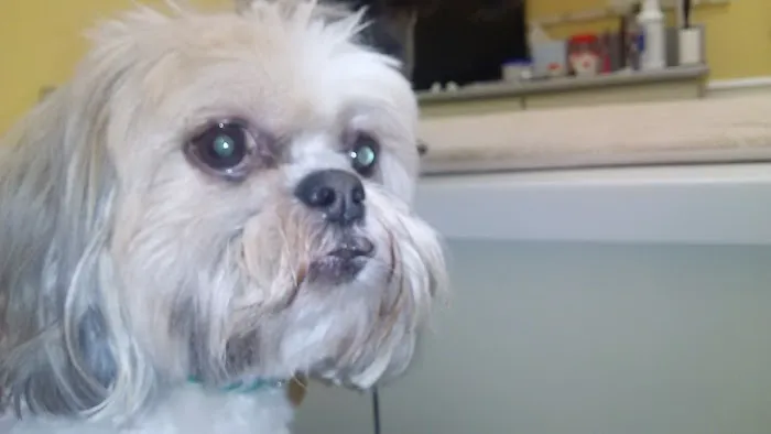 Chenoweth Animal Hospital Picture 5
