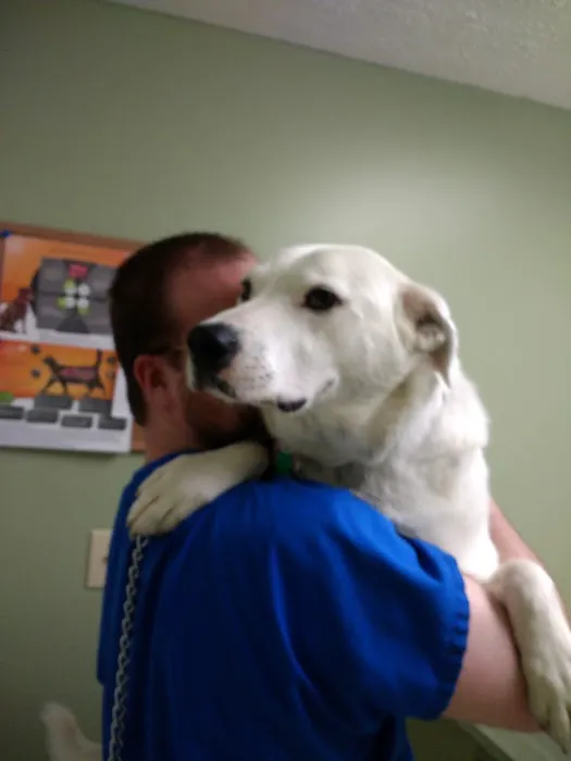 Chenoweth Lane Pet Clinic Picture 4