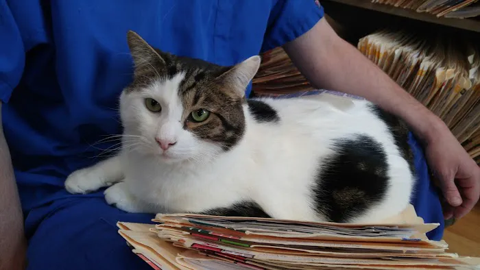 Chenoweth Lane Pet Clinic Picture 6