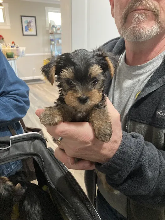 Derby City’s Crossroads Animal Hospital Picture 1