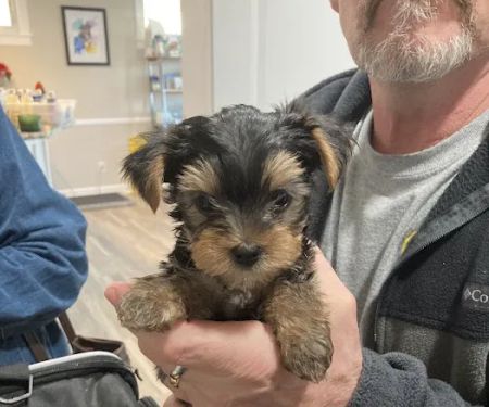 Derby City’s Crossroads Animal Hospital