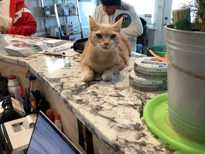 Derby City’s Crossroads Animal Hospital Picture 8
