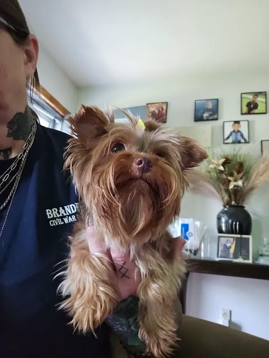 Fenwick Animal Clinic Picture 1