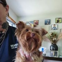 Fenwick Animal Clinic ico