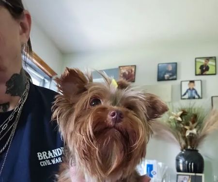 Fenwick Animal Clinic