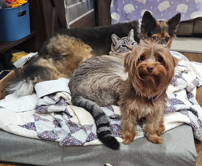 Fenwick Animal Clinic Picture 2