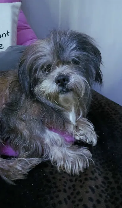 Clarksville Animal Hospital Picture 10