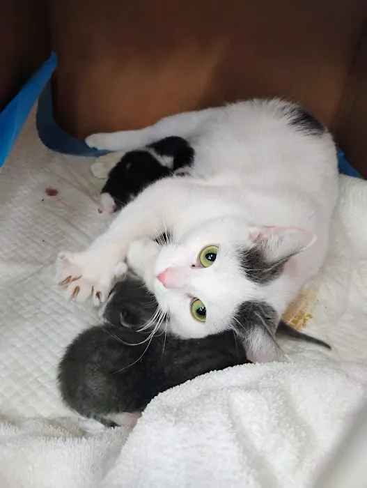 Audubon Animal Medical Center Picture 8