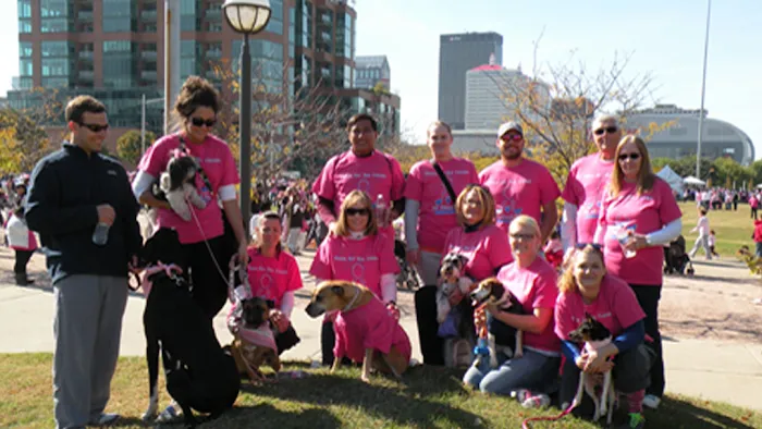 All About Pets Animal Hospital Picture 5