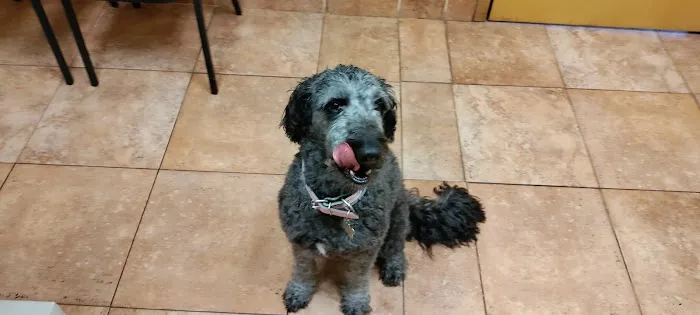 Delphos Animal Hospital Picture 1