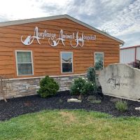 Auglaize Animal Hospital ico