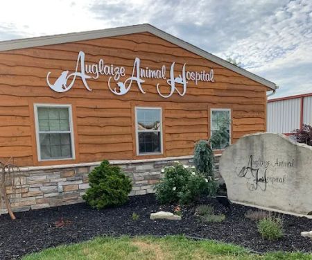 Auglaize Animal Hospital
