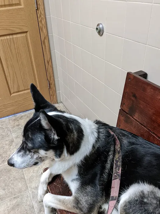 Auglaize Animal Hospital Picture 2