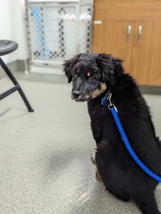 Amanda Animal Hospital Picture 2