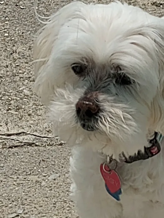 Amanda Animal Hospital Picture 1