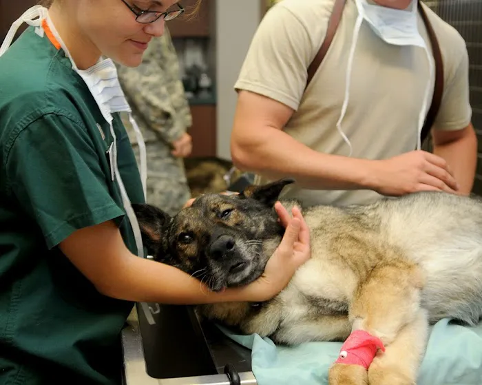 Wapakoneta Animal Hospital Picture 1