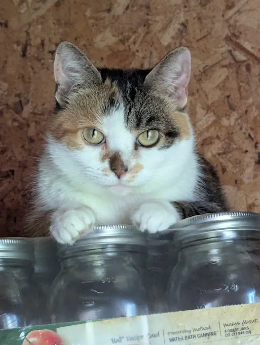 Heartland Animal Clinic LLC Picture 9