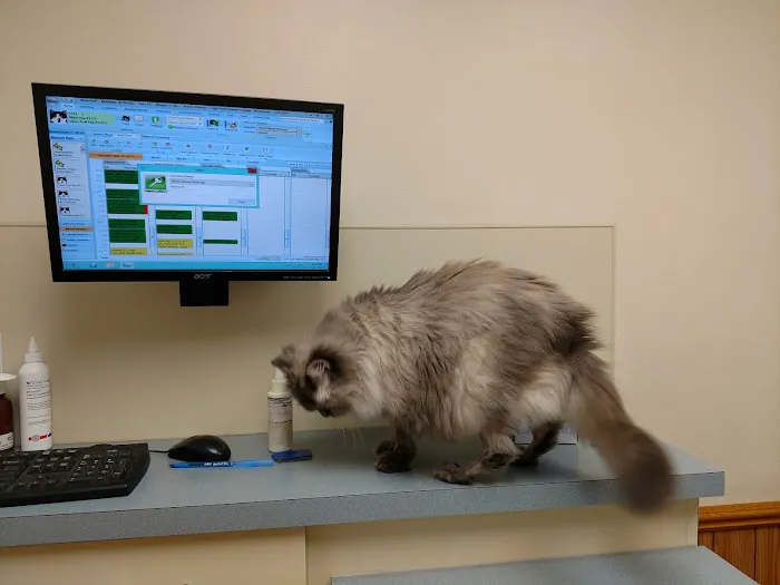 High Point Animal Hospital Picture 2
