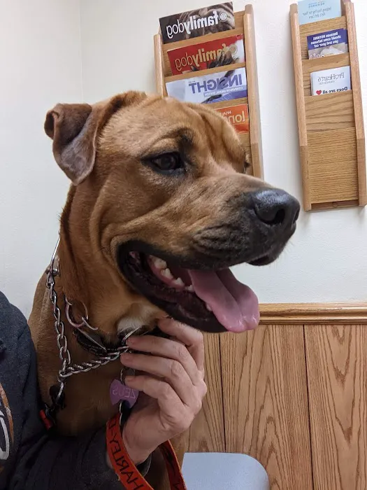 High Point Animal Hospital Picture 6